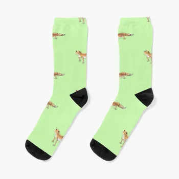 Geckos Ponožky mužov, darčeky nové pánske ponožky ponožky pre mužov